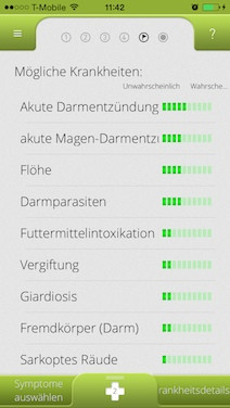 Mögliche Krankheiten